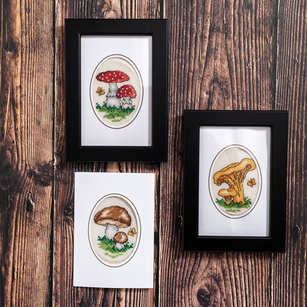 Broderikit svampar - 3 pack tavlor / kort